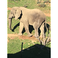 Fairy Glen Game Reserve image